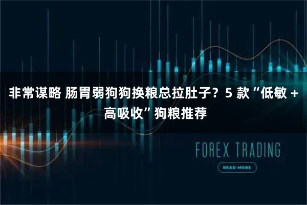 非常谋略 肠胃弱狗狗换粮总拉肚子？5 款“低敏 + 高吸收”狗粮推荐