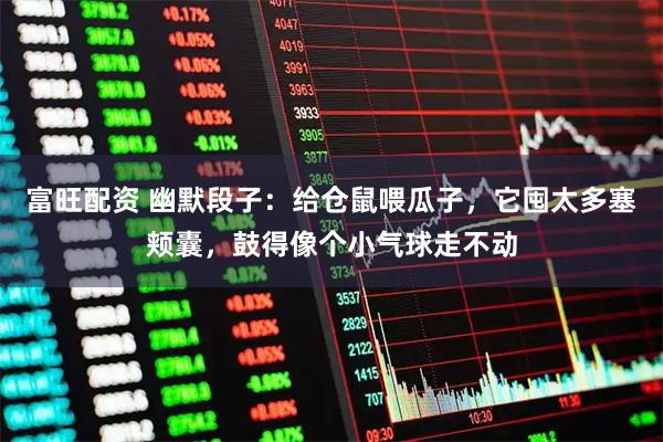 富旺配资 幽默段子：给仓鼠喂瓜子，它囤太多塞颊囊，鼓得像个小气球走不动