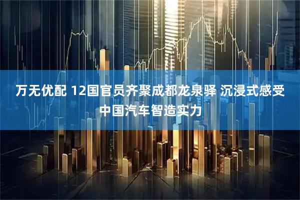 万无优配 12国官员齐聚成都龙泉驿 沉浸式感受中国汽车智造实力