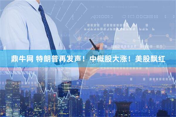 鼎牛网 特朗普再发声！中概股大涨！美股飘红