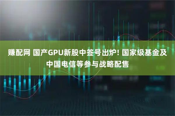 赚配网 国产GPU新股中签号出炉! 国家级基金及中国电信等参与战略配售